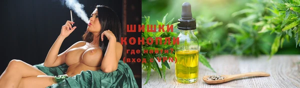 сатива Заволжск