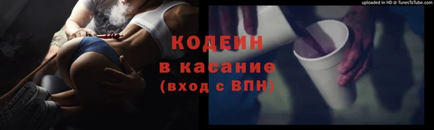 стафф Заводоуковск