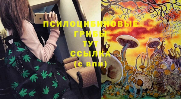 стафф Заводоуковск
