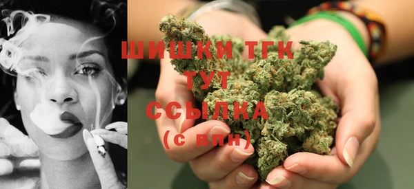 сатива Заволжск